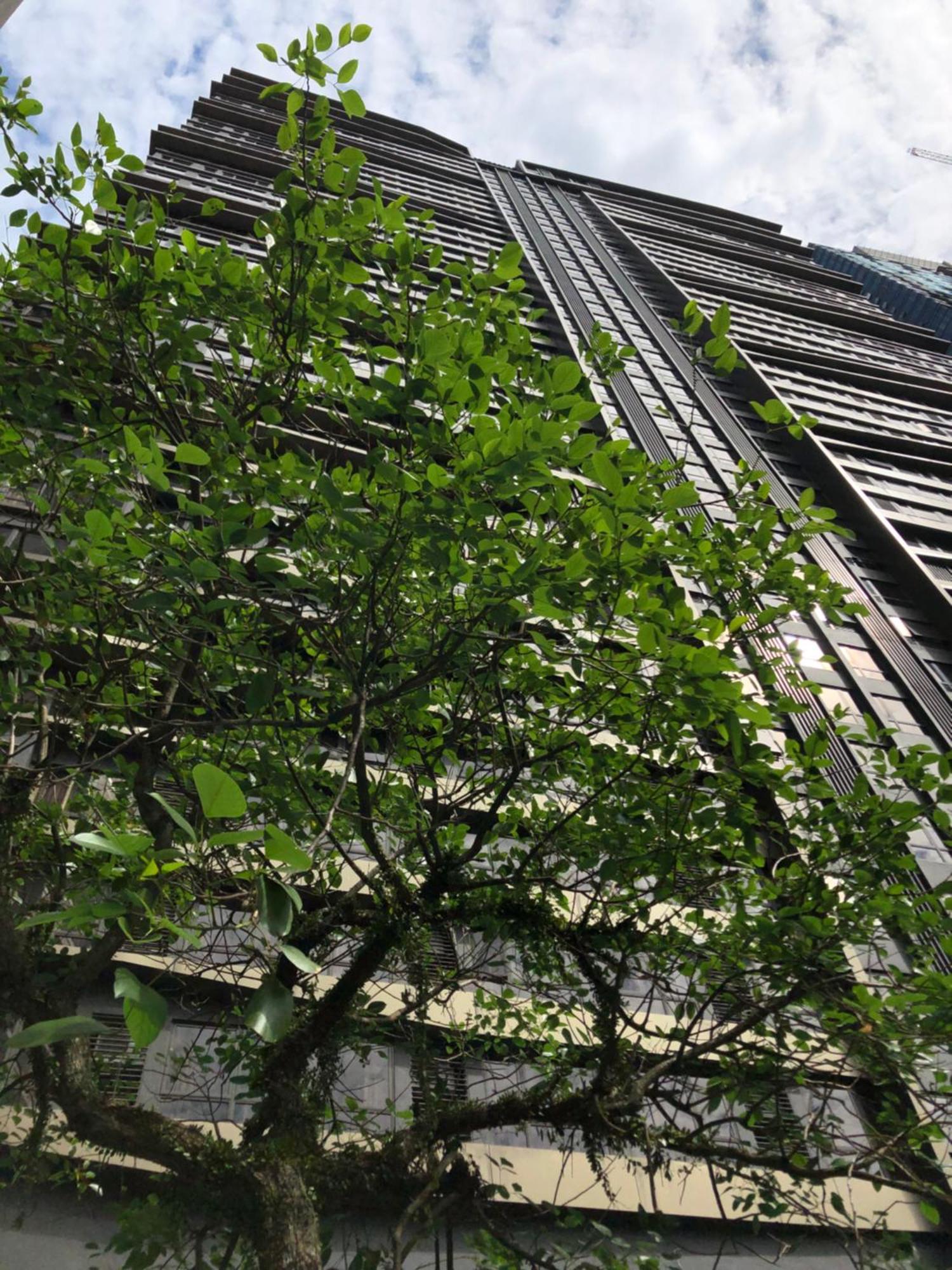8 Kia Peng Suites Klcc By Luna Kuala Lumpur Ngoại thất bức ảnh